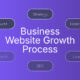website-growth-process